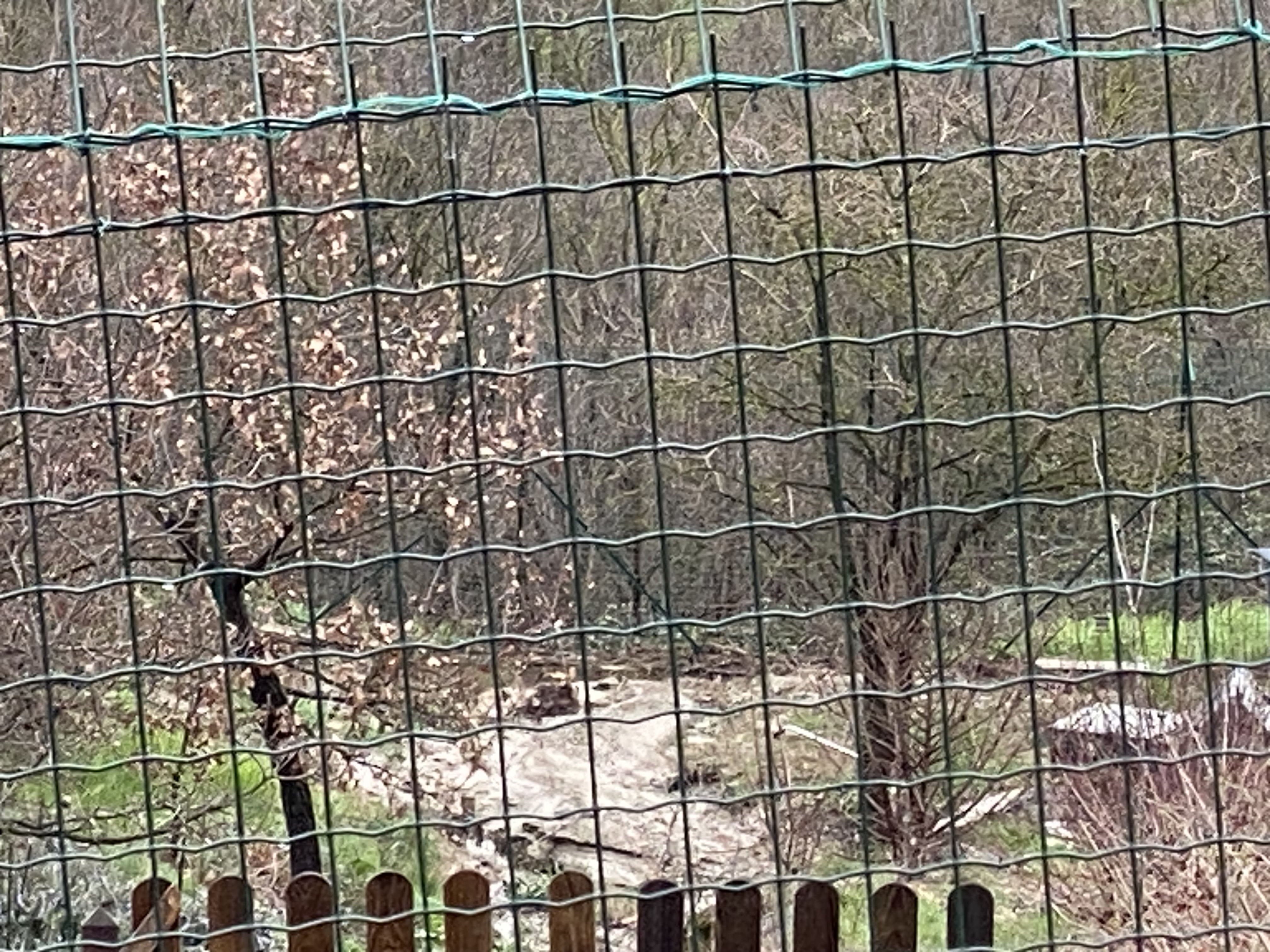 Mettiamo in sicurezza l’oasi dopo i danni causati dalle piogge Image