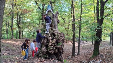 Fai sbocciare il Parco della Cugolara Image